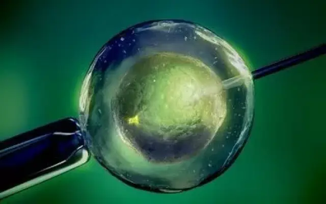 墨序生殖医学中心